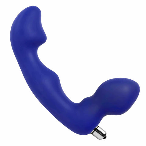 Blue Silicone Anal Dildo with Bullet Vibe