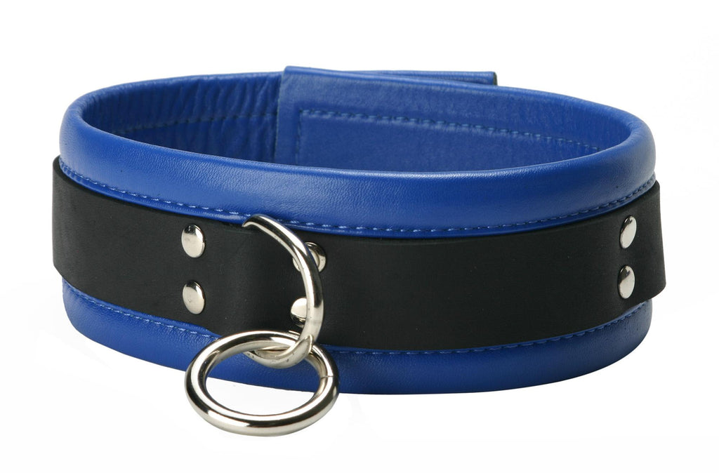 Blue Mid-Level Leather Collar